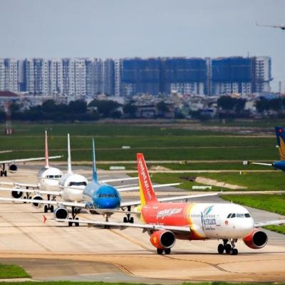 ACV dự kiến lợi nhuận 2020 giảm 80%